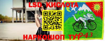 гашик Берёзовский