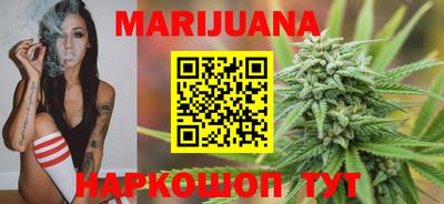 гашик Берёзовский