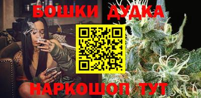 гашик Берёзовский