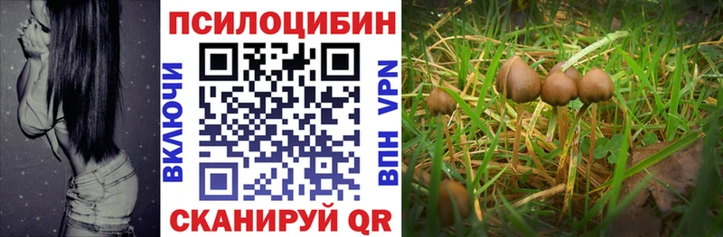 Псилоцибиновые грибы мицелий  Новоуральск 