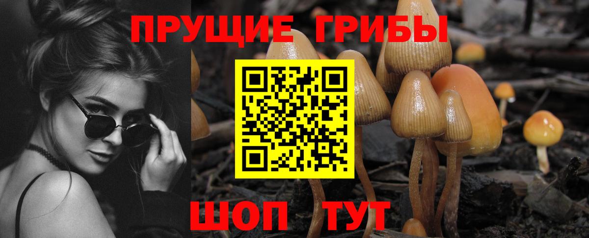 Псилоцибиновые грибы MAGIC MUSHROOMS  Вход с VPN  Новоуральск 